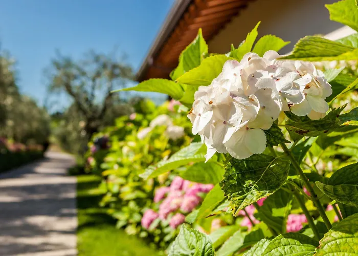 Quercia Belvedere Relais Бардолино