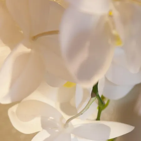 Quercia Belvedere Relais בית חווה *