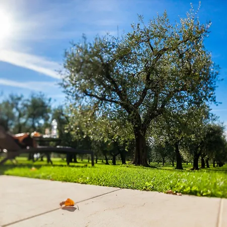 Quercia Belvedere Relais ברדולינו