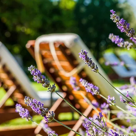 Quercia Belvedere Relais ברדולינו