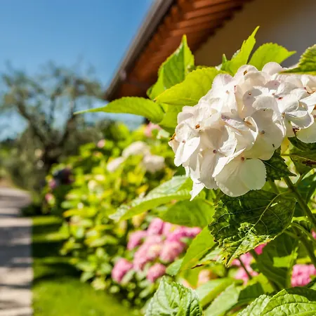 Quercia Belvedere Relais ברדולינו