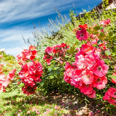 Quercia Belvedere Relais ברדולינו