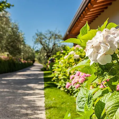 Séjour à la ferme Quercia Belvedere Relais *