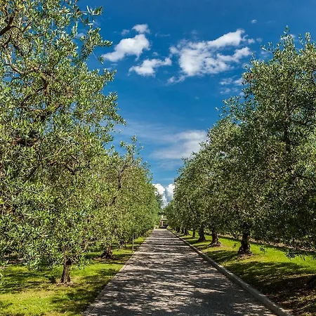 Quercia Belvedere Relais Séjour à la ferme *