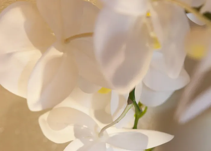 Quercia Belvedere Relais Фермерський будинок *