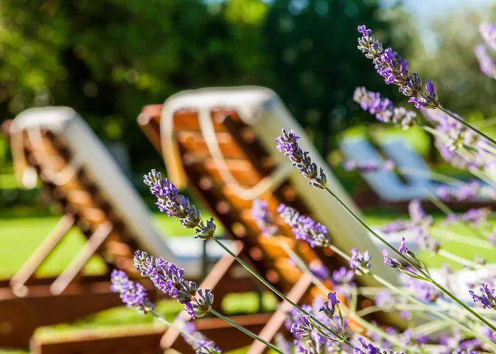 橡木贝尔维蒂利里莱丝酒店 巴多利诺
