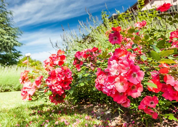 Quercia Belvedere Relais 바르돌리노