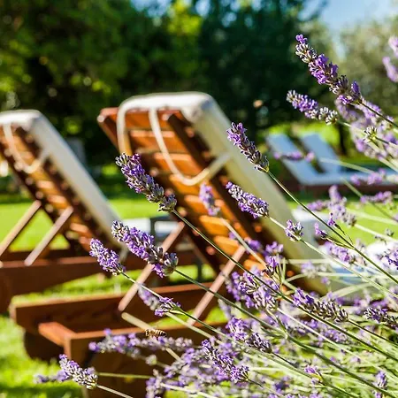 팜스테이 Quercia Belvedere Relais